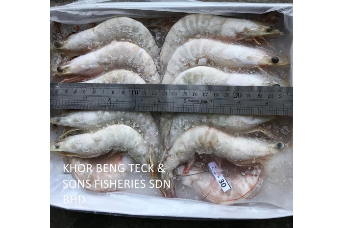 Heads On Shrimp 野生大明虾