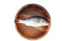 Jenahar / Snapper / 红 皂