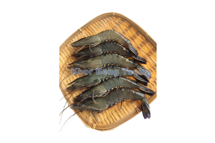 Farmed Prawn / 草 虾