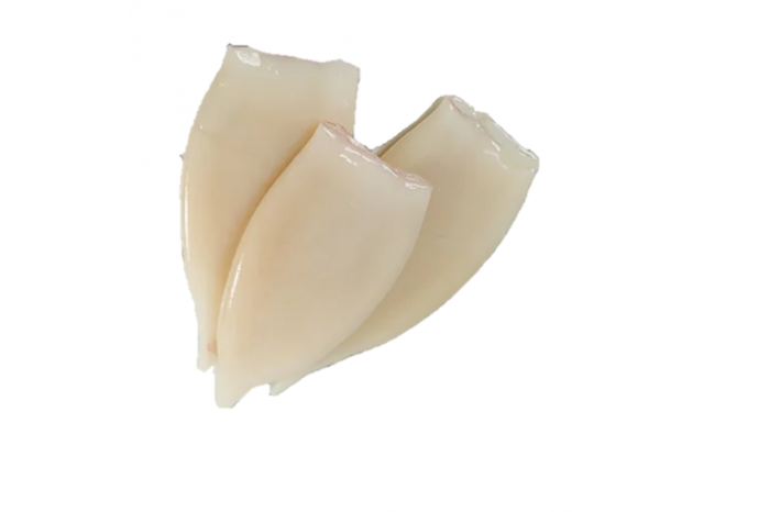 Sotong Tube  / Squid Headless  / 鱿鱼筒
