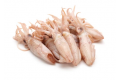 Sotong Kecil / Small Squid / 苏东珠