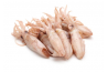 Sotong Kecil / Small Squid / 苏东珠