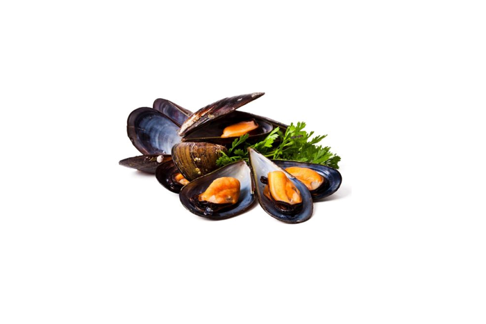 Kupang Hitam / Black Mussel / 黑蚝