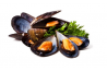 Kupang Hitam / Black Mussel / 黑蚝