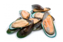 Kupang Hijau / Green Mussel / 青蚝