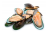 Kupang Hijau / Green Mussel / 青蚝