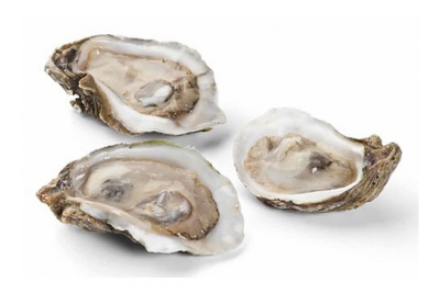 Half Shell Oyster / 半壳生蚝