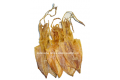 DRIED SQUID / SOTONG KERING / 吊 片