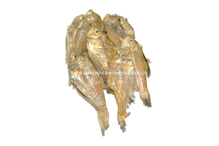 IKAN MASIN SEBELAH / SALTED FLOUNDER FISH/ 左口咸鱼