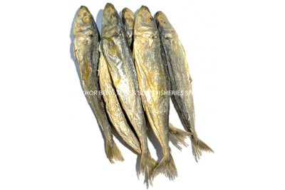 Salted Gelama Fish