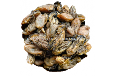 KOREA DRIED OYSTER  / 韩国蚝干