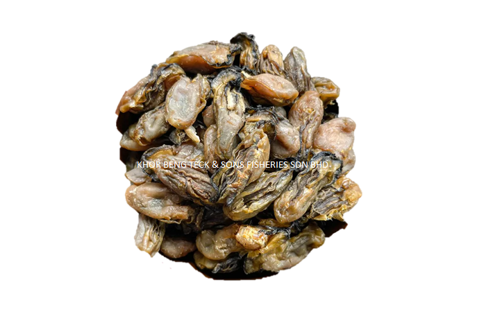 KOREA DRIED OYSTER  / 韩国蚝干