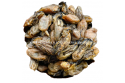 KOREA DRIED OYSTER  / 韩国蚝干