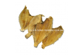 IKAN MASIN DIDIP / 左 口 鱼