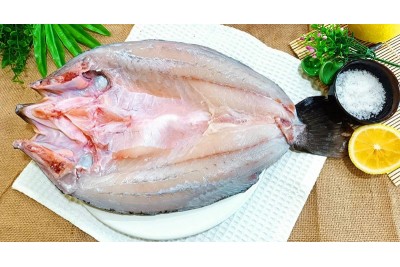 Ikan Siakap / Sea Bass / 食 甲 鱼