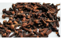 Clove (Cengkih)