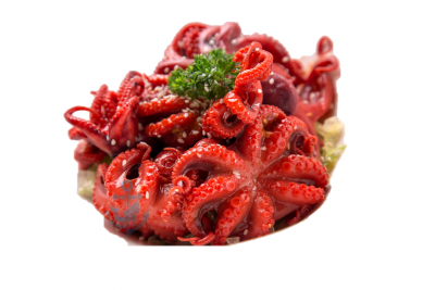 Japanese Baby Octopus / 日本八爪鱼