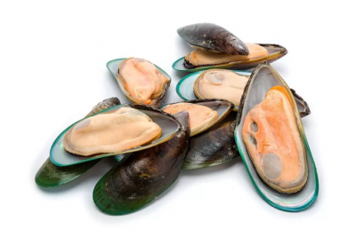 Kupang Hijau / Green Mussel / 青蚝